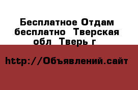 Бесплатное Отдам бесплатно. Тверская обл.,Тверь г.